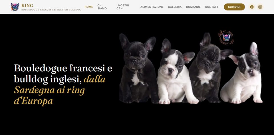 Sito web di King, allevamento di bouledogue francese e bulldog inglese a Orgosolo