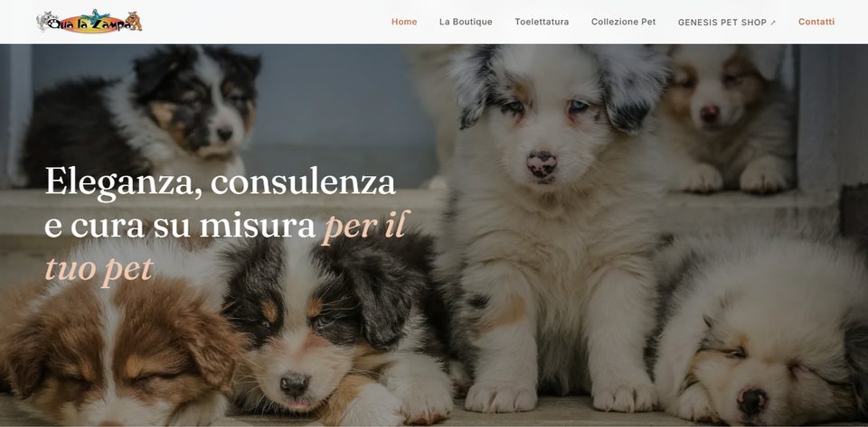 Sito web di Qua la Zampa, boutique per cani a Casalmaggiore